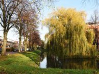 Madoerastraat 29, 2612 GL Delft