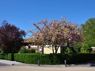 Clematislaan 11, 3181 CB Rozenburg (ZH)