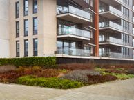 Burgemeester Speelmanhof 17, 3078 PZ Rotterdam