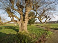 Bathemerweg 1, 7448 PG Haarle (Gem. Hellendoorn)