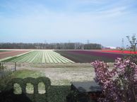 Hoofdstraat 351, 2171 BJ Sassenheim