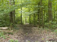 Prins Frederiklaan 30, 3818 KD Amersfoort