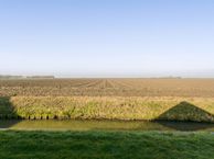 De Keetel 6, 4759 AH Noordhoek