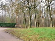 Zandstraat 62, 7009 CC Doetinchem