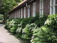 Hofgeesterweg 6 A, 1991 AD Velserbroek