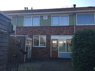 Tolhoren 16, 8255 BL Swifterbant