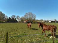 de Braken 3 a, 5688 NT Oirschot