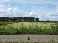 Malachiet 4, 3641 XP Mijdrecht