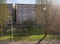 Trekvogelweg 181, 3815 LE Amersfoort