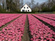 Weg van Ongenade 23, 8312 PA Creil