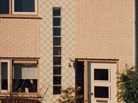 Van Rijnesteinlaan 11, 3927 DL Renswoude