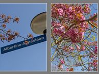 Albertine Agneslaan 2, 1411 ES Naarden