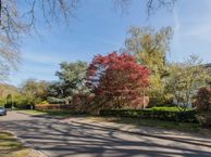 Lutsborgsweg 24, 9752 VW Haren (GR)