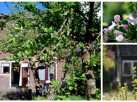 Koppelweg 105, 3704 GG Zeist