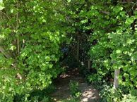 Polderdijk, 4157 JE Enspijk