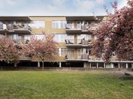 Navanderstraat 6 f, 3039 VM Rotterdam