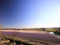 Tolhoren 77, 2201 VK Noordwijk (ZH)