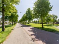 Arendsdaalder 24, 8253 BT Dronten