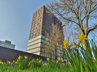 Siersteenlaan 468 38, 9743 ES Groningen