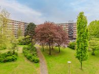 Luxemburglaan 753, 1966 MR Heemskerk