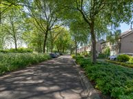 Hellouwlaan 6, 4006 XJ Tiel