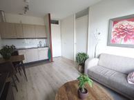 Brinklaan 23 20, 9722 BA Groningen