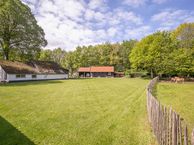 Petersburg 28, 8435 VJ Donkerbroek