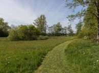 Golden Raand 5, 9821 TK Oldekerk