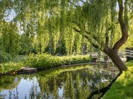 Erasmussingel 114, 3051 XC Rotterdam
