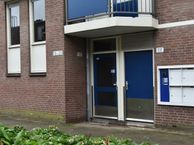 Boerhaavestraat 125, 2516 GT Den Haag