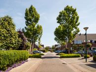 Moerasbos 24, 3411 WD Lopik