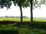 Ziekbleek 7, 5541 PA Reusel