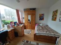 Goudlaan 226, 9743 EE Groningen