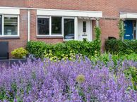 Zeepkruid 22, 2914 TT Nieuwerkerk aan den IJssel