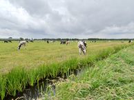 Herenweg 69, 1244 PX Ankeveen