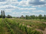 Langeweg 62 C, 4675 RM Sint Philipsland
