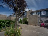 Wilgenhove 31, 2295 RB Kwintsheul