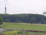 Schelmseweg 41, 6861 WS Oosterbeek