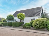 Polenstraat 46, 4571 BZ Axel