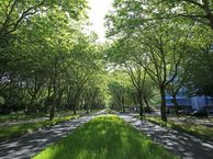 Van Nijenrodeweg 697, 1082 JC Amsterdam