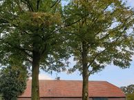 De Fluiter 4, 5528 SC Hoogeloon