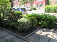 Kerklaan 55, 2063 JK Spaarndam gem. Haarlem