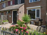 Delta 36, 1273 LG Huizen