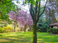 Frans Baantje 30, 4881 MG Zundert