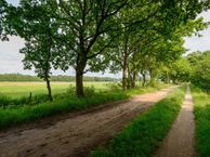 Kooisingel 12, 9753 EX Haren (GR)