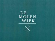 Molenweg, 3271 AM Mijnsheerenland