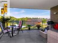 Boomklever 55, 3911 EX Rhenen