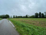 Moerseweg, 4927 RK Hooge Zwaluwe