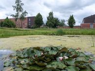 Tijmstraat 34, 9408 AX Assen