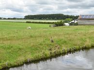 Oude Nieuwveenseweg 93, 2441 CS Nieuwveen